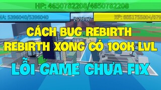 A Hero's Destiny [CODE] - Cách Bug Rebirth Vẫn Giữ Level