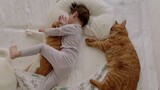 两只橘猫保姆强强联手，实力哄睡家里的小主人