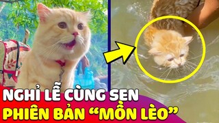 Phát hiện bé Mèo 'ĐI NGHỈ LỄ' cùng sen khiến ai nấy trầm trồ thích thú 😂 Gâu Đần