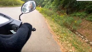 Vietnam Travel and Real Life _ Ba Vi National Park Motobike Trip 4