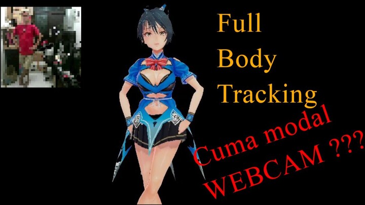 Full Body Tracking for vtuber (only needed webcam)