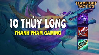 Thanh pham Gaming  -  Đấu trường chân lý sau cơn bão  - 10 thủy long