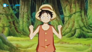 Luffy di suruh berlatih ilmu Kebun-shoku dan Busou-shoku (0ne Piece)