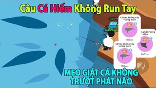 Play Together | Hướng Dẫn Cách Câu Cá Không Run Tay, Ít Hụt Và Mẹo Câu Cá Hiếm