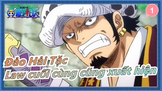 [Đảo Hải Tặc] Tập 91 - Trafalgar D. Water Law cuối cùng cũng xuất hiện_1