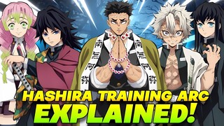 The Entire STORY Of The Demon Slayer Hashira Training Arc!
