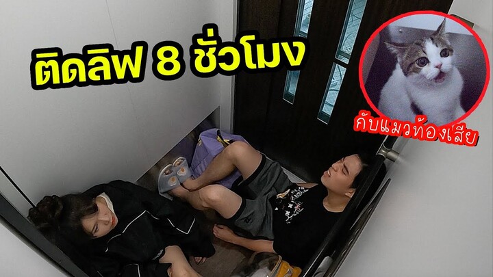 ติดอยู่ในลิฟ 8 ชม.กับแมวท้องเสีย จะรอดหรอ?