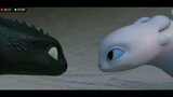 Toothless is in love!💓Night Fury and Light Fury.