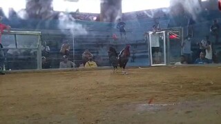 di talaga ukol naka una na