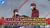 [Cells at Work!Black][2153/1677]Whataya want from me_2
