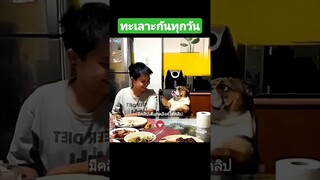 ทะเลาะกันทุกวัน