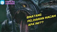 Dijadikan Santapan Binatang Peliharaan 🙈