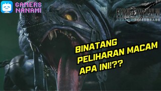 Dijadikan Santapan Binatang Peliharaan 🙈