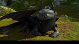 I was touched when I saw this. Toothless loves his master so much.
