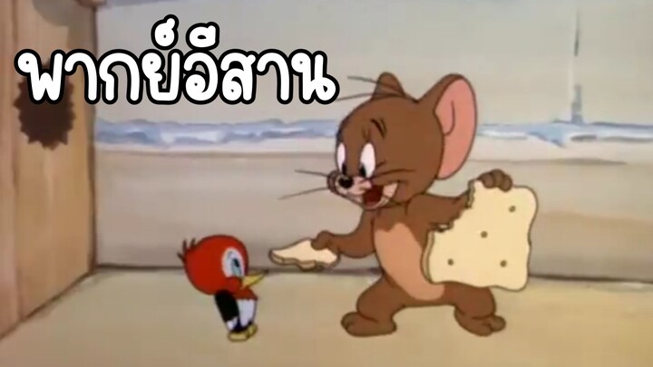 ทอมแอนด์เจอร์รี่ พากย์อีสาน ตอน เลี้ยงลูกนก