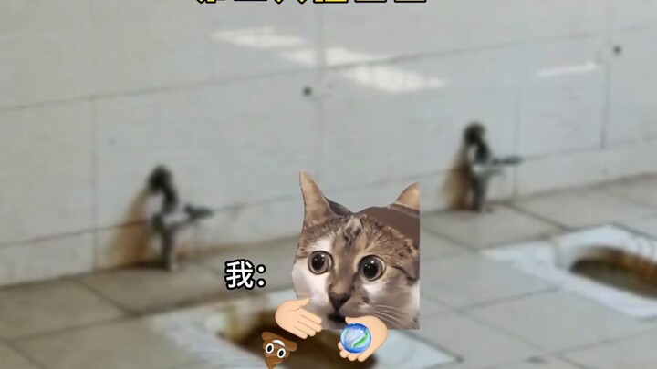 【Cat meme】My strange bond with glass beads