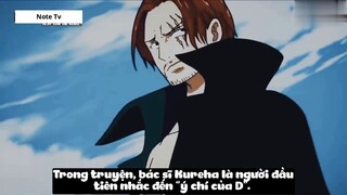 Top 7 Người Có _Ý Chí Của D_ Trong One Piece #24- 1