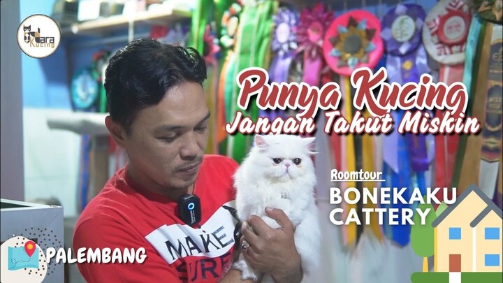 MUPENG LIAT KUCINGNYA LUCU SEMUA DISINI