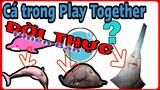 Play Together | Những Con Cá Trong Play Together Ngoài "ĐỜI THỰC" Sẽ Như Thế Nào , Đáng Sợ Ra Sao ?