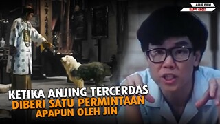 KETIKA ANJING TERCERDAS DIBERI SATU PERMINTAAN APAPUN OLEH JIN !!!