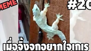 รวมคลิปตลกๆ : เมื่อจิ้กจกเข้าฟิตเนส…