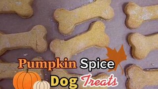 It’s officially cozy season!! LearnOnTikTok psl pumpkinspice dogtreats dogtreatsrecipe