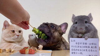 小狗勾能有什么坏心眼呢，只是学不会吃菜而已。