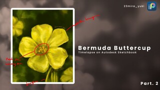 Bunga Bermuda Part 2 😆