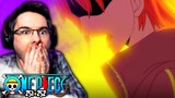 ROBIN'S TRUTH REVEALED! | One Piece Episode 251 & 252 REACTION | Anime Reaction