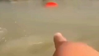 Shocked! A man dug up a red stone and found...