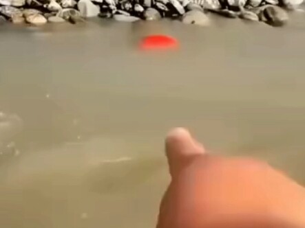 Terkejut! Seorang pria menggali sebuah batu merah, dan ketika dia membukanya, ternyata itu adalah ba