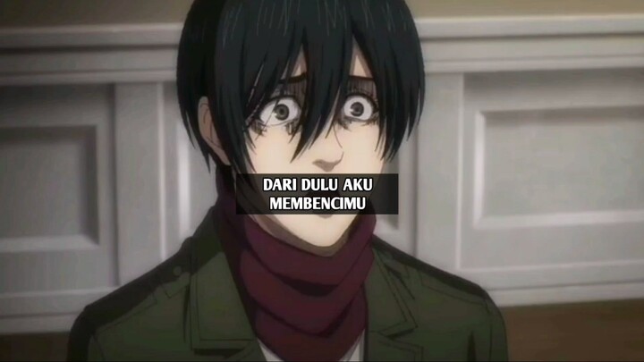 MIKASA AKU MEMBENCIMU