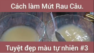 Cách làm Mứt Rau Câu tuyệt đẹp màu tự nhiên phần 3