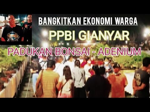 PAMERAN BONSAI BERPADU ADENIUM, DI KOTA GIANYAR 10 Mei 2022
