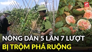 Nông dân 60 tuổi bức xúc vì 5 lần 7 lượt bị phá ruộng