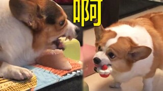我真的喜欢开口说话和你吵架！还要抢你的东西！
