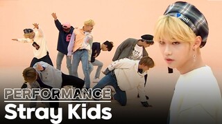 All the Performances of Stray Kids in Idol Room 💖 | Idol Room