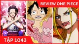 Review One Piece Tập 1043 Luffy gặp Momonosuke, Robin đại chiếu Balck Maria Đảo Hải Tặc