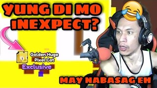 Yung Di Mo Inexpect Ba 🤣 I hatched The Huge Golden Pixel Cat In Pet Simulator X - Roblox