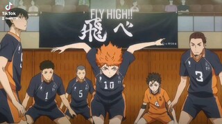 Haikyuu Fly High