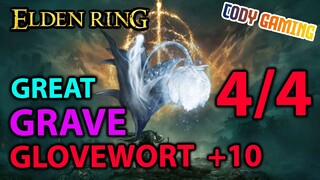 [Elden Ring VN] Vị trí toàn bộ GREAT GRAVE GLOVEWORT (upgrade đệ tử +10) và cách lấy 5 AE siêu nhân