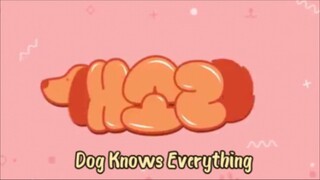 Dog Knows Everything eps 6