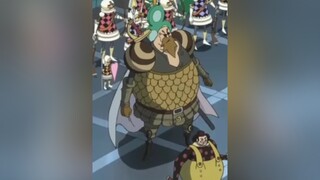 PANDAMAN pandaman onepiece xuhuong