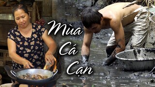 CÔ BA MIỀN TÂY ✅ MÙA BẮT CÁ CẠN Ở MIỀN TÂY