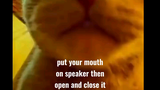 put your mouth on the speaker then open and close it