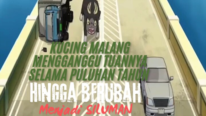 Kucing Malang Mengganggu Tuannya Selama Puluhan Tahun. Hingga Berubah Menjadi Siluman.