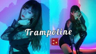 【猫咪酱】极致的妩媚丨性感火辣椅子舞丨susu 版本Trampoline