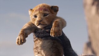 Watch Full The Lion King Official movies for free Link in Description