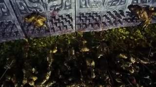 Curse of the Golden Flower - Battle Scene between Prince Jai and Emperor