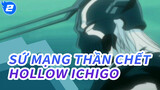 Sứ Mạng Thần Chết_2
Hollow Ichigo